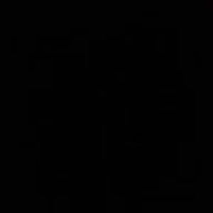 Meet your Posher, Aurora